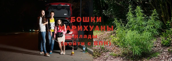 ПСИЛОЦИБИНОВЫЕ ГРИБЫ Остров
