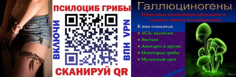 закладки  Балей  Псилоцибиновые грибы прущие грибы 